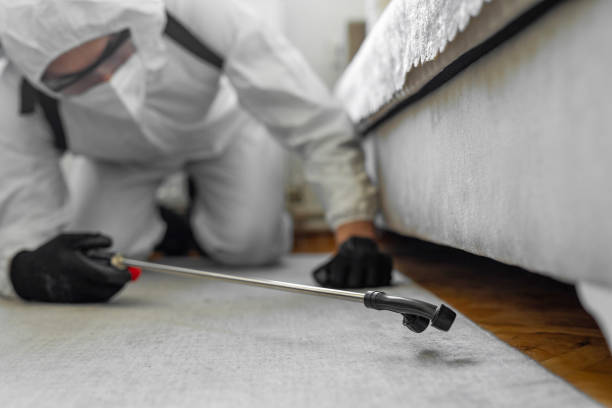 Professional Termite Control technician working in Northwest Ithaca, NY